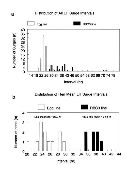 frequency of luteinizing hormone surges and egg production rate in a distribution of intervals between all lh surges of rbc3 and egg line turkey hens