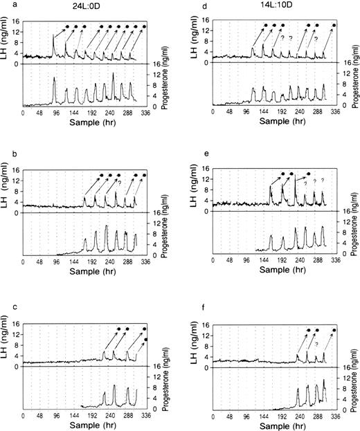 changes in plasma concentrations of luteinizing hormone changes in concentrations of luteinizing hormone lh upper and progesterone lower