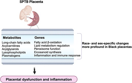 Graphical Abstract