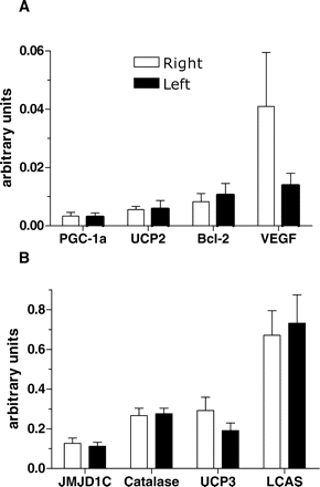gene expression fiber type and strength are similar between left