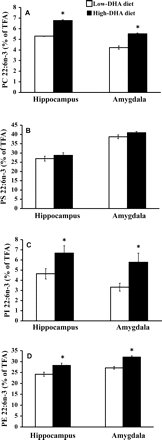 Effects of dietary n-3 polyunsaturated fatty acids (PUFA) on proportion (% of total fatty acids [TFA]) docosahexaenoic acid (DHA; 22:6n-3) in phospholipid classes of hippocampus and amygdala from senescence-accelerated prone 8 (SAMP8) mice. A, 22:6n-3 in phosphatidylcholine (PC); B, 22:6n-3 in phosphatidylserine (PS); C, 22:6n-3 in phosphatidylinositol (PI); D, 22:6n-3 in phosphatidylethanolamine (PE). Values are mean ± standard error of the mean for 8–10 preparations. *p <.05, compared to mice fed low-DHA diet (independent samples t test)