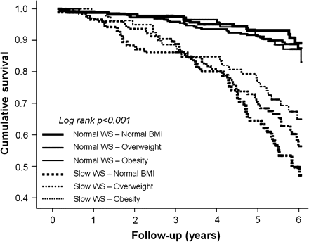 Kaplan-Meier survival curves for mortality according to walking speed (WS) and body mass index (BMI) groups.