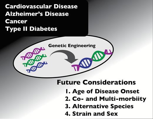 Future considerations for modeling chronic, age-related diseases.