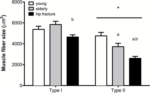 Muscle fiber size (in μm2) for both Type I and Type II muscle fibers in all groups. Data represent means ± SE. *Significantly different compared with Type I muscle fiber size (p < .05); aSignificantly different compared with healthy young (p < .05); bSignificantly different compared with healthy elderly group (p < .05). Bar indicates that the effect is present in all groups.