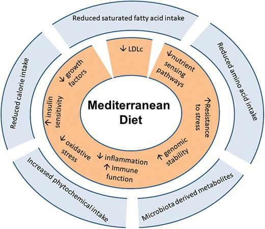 The Mediterranean Diet and Gallstones