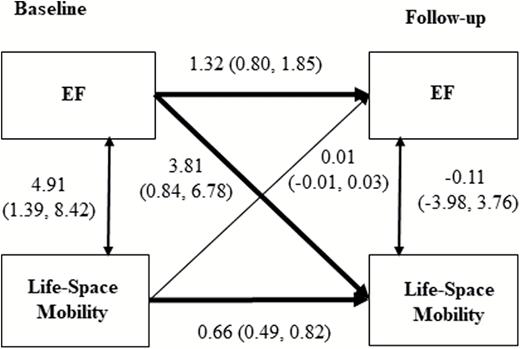 Unstandardized coefficients (95% confidence intervals) of cross-lagged model with 2 year follow-up for EF and life-space mobility adjusted for age and gender (n = 108). Path coefficients are statistically significant if zero is not included in the confidential intervals.