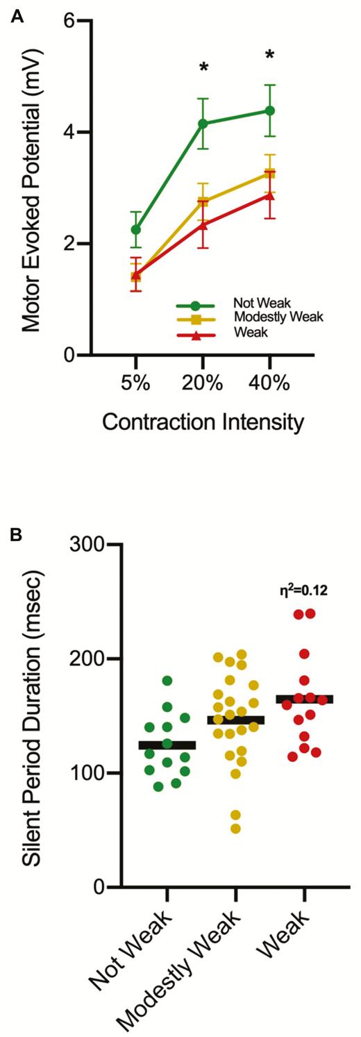 (A) A group × contraction intensity interaction was observed for motor evoked potential (MEP) amplitude. Subsequent analysis indicated the Weak older adults (OAs) had smaller MEPs in comparison to the Not Weak OAs at the 20% and 40% contraction intensities (*p < .05). Also, while not noted on the figure for the sake of clarity, the Not Weak OAs and the Weak OAs exhibited larger MEPs at the 20% and 40% contraction intensity when compared to 5% (p < .01), but the 20% and 40% contraction intensities were not significantly different. The Modestly Weak group exhibited a progressive increase between all contraction intensities (p < .01). (B) The Weak OAs had, on average, ~24% longer silent periods (SPs) than the Not Weak OAs when the data were averaged across contraction intensity. While this difference was not statistically significant (p = .06) a moderate effect size was observed and is noted (η 2 = 0.12).