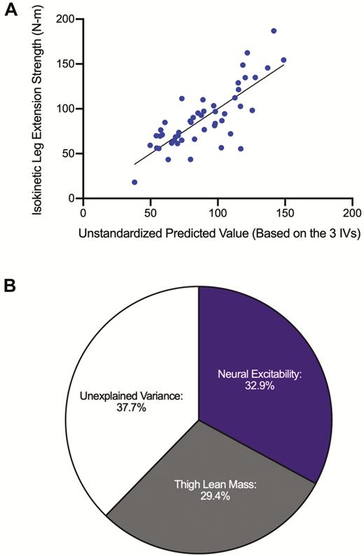 (A) Multiple linear regression scatterplot comparing the unstandardized predicted values of the combined independent variables (neural excitability and thigh lean mass) and the dependent variable (isokinetic leg extension strength). The R2 value (0.62) is significant (p < .001). (B) Relative contribution of the constructs of neural excitability (R2 = 0.329, p < .001) and thigh lean mass (R2 = 0.294, p < .001) from the multiple regression analysis.