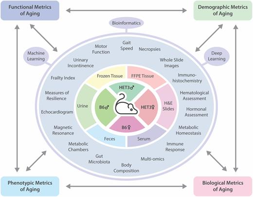 Identification and characterization of longitudinal aging biomarkers in mice.