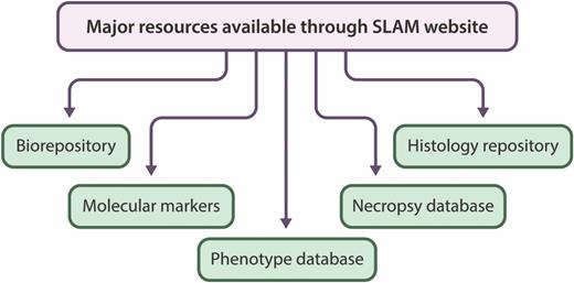 Expected major resources that will be available through SLAM.