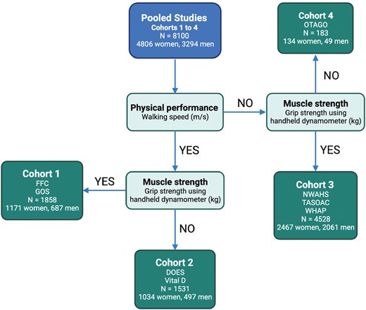 Participant flow and cohorts. FFC = Australian Institute for Musculoskeletal Science Falls and Fracture Clinic; GOS = Geelong Osteoporosis Study; DOES = Dubbo Osteoporosis Epidemiology Study; Vital D = Vital D Study; NWAHS = North West Adelaide Health Study; TASOAC = Tasmanian Older Adult Cohort; WHAP = Women’s Healthy Ageing Project; OTAGO = Age Concern Otago; Cohort 1 = performance and strength cohort; Cohort 2 = performance cohort; Cohort 3 = strength cohort; Cohort 4 = Timed Up and Go cohort.