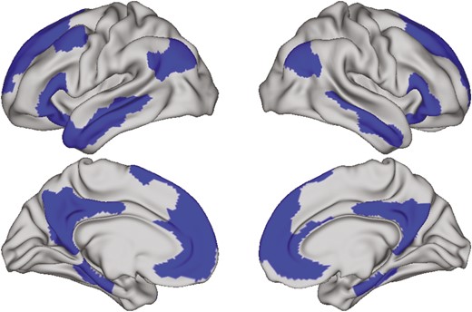 Default mode network defined by Schaefer 400, 17 networks parcellation scheme.