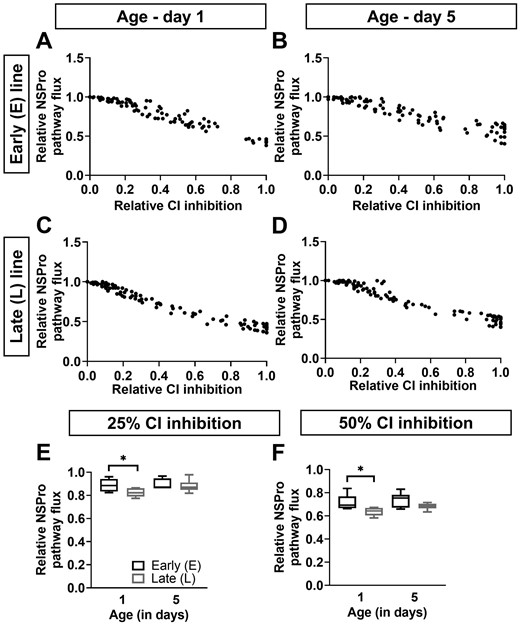 Effect of complex I inhibition on maximal pathway flux. (A–D) The relative maximal pathway flux in the presence of NADH, Succinate, and Proline (NSPro) is presented as a function of relative complex I (CI) inhibition using a rotenone titration at days 1 (panels A and C) and 5 (panels B and D) in males of the early (E; panels A and B) and late (L; panels C and D) seed beetle selection lines. Dots represent the raw data plots. (E and F) The relative NSPro flux at 25% (panel E) and 50% (panel F) CI inhibition, at days 1 and 5 in males of the E and L lines. n = 6 at both ages and for both lines. Significant differences between the lines based on t test statistical analyses are denoted *p ≤ .05.