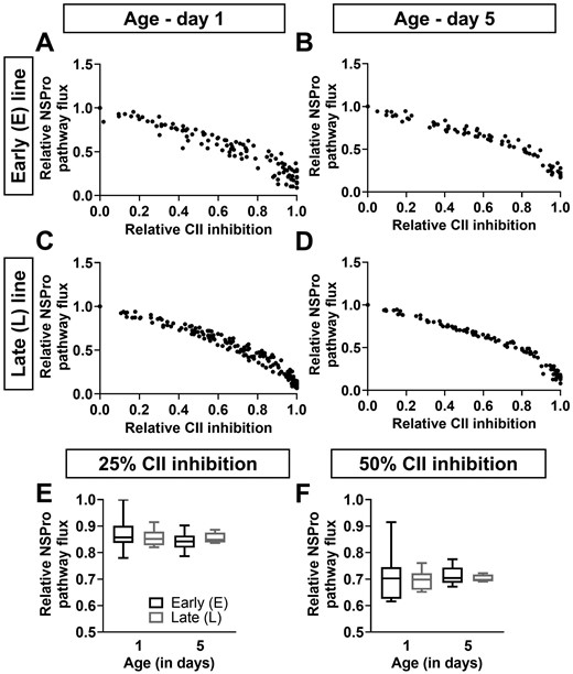 Effect of complex II inhibition on maximal pathway flux. (A–D) The relative maximal pathway flux in the presence of NADH, Succinate, and Proline (NSPro) is presented as a function of relative complex II (CII) inhibition using a malonate titration at days 1 (panels A and C) and 5 (panels B and D) in males of the early (E; panels A and B) and late (L; panels C and D) seed beetle selection lines. Dots represent the raw data plots. (E and F) The relative NSPro flux at 25% (panel E) and 50% (panel F) CII inhibition, at days 1 and 5 in males of the E and L lines. n = 6–7 for the E line and n = 7–10 for the L line at both ages. T tests showed no significant differences between the beetle lines.