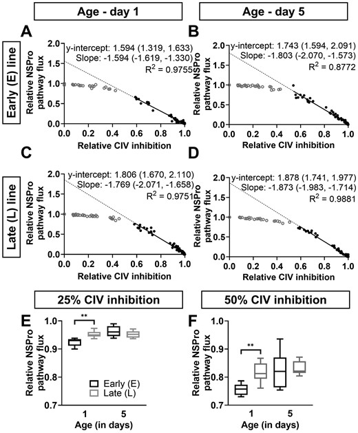 Effect of complex IV inhibition on maximal pathway flux. (A–D) The relative maximal pathway flux in the presence of NADH, Succinate, and Proline (NSPro) is presented as a function of relative complex IV (CIV) inhibition using a sodium azide titration at days 1 (panels A and C) and 5 (panels B and D) in males of the early (E; panels A and B) and late (L; panels C and D) seed beetle selection lines. Dots represent the raw data plots. Data up to the threshold of inhibition are represented by open, gray circles, whereas data after the inflection point are represented by closed, black circles. The y-intercept represents the intercept of the linear regression of the data after the inflection point with zero CIV inhibition. Y-intercepts are listed on the graphs as median (min, max) and represent the apparent excess CIV capacity. Graphs also display the slopes as median (min, max) as well as the goodness of fit (R2). Data were analyzed by 2-way ANOVA and met the assumptions without undergoing any transformations. Two-way ANOVA results comparing y-intercepts are: p = .007 (the effect of selection line), p = .066 (the effect of age), and p = .095 (interaction). Significant differences between the y-intercepts of selection lines are denoted * (p = .003). (E and F) The relative NSPro flux at 25% (panel E) and 50% (panel F) CIV inhibition, at days 1 and 5 in males of the E and L lines. n = 5–7 at both ages and in both lines. Significant differences between the lines as the result of t test statistical analyses are denoted **p ≤ .01.