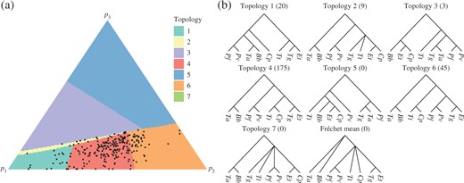 The second principal component computed from the Apicomplexa dataset: (a) the simplex
              shaded according to the topology of the corresponding points on $\Pi(V)$, with the projections of the
              data points also displayed; (b) topologies of trees on $\Pi(V)$. Species abbreviations are based
              on the species’ binary nomenclature. The number of data points projecting to each
              topology is displayed in brackets.