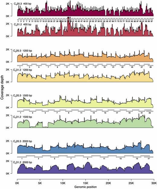 SARS-CoV2 genome coverage plots for different amplicon sets.