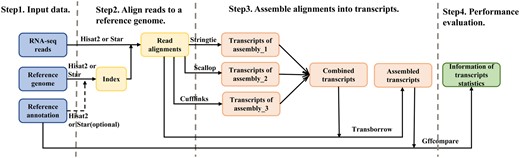 Workflow of transcriptome assembly of RNA-seq experiments with TransBorrow.