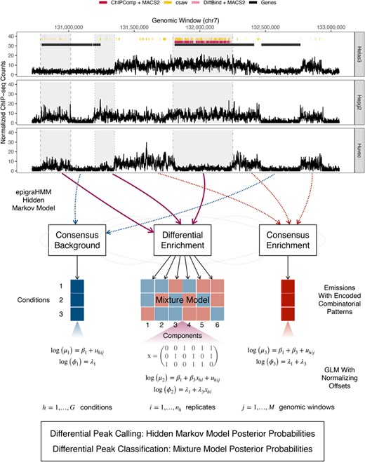 At the top, differential peak calls from current methods (under false discovery rate control of 0.05) for the histone modification H3K27me3 among cell lines Helas3, Hepg2, and Huvec. Shaded regions indicate observed differential enrichment, and each vertical line type bordering each region represents a different combinatorial pattern of enrichment across cell lines. Optimal methods would call broad peaks inside shaded regions and no peaks outside them. At the bottom, general overview of the presented method for simultaneous detection and classification of broad and short differential regions of enrichment. This figure appears in color in the electronic version of this article, and any mention of color refers to that version.