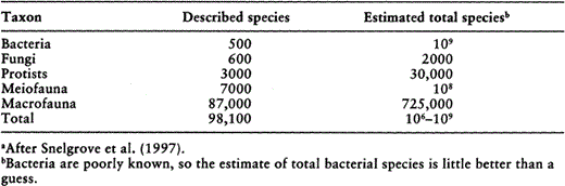 Numbers of described and projected species in marine sedimentary habitats.a
