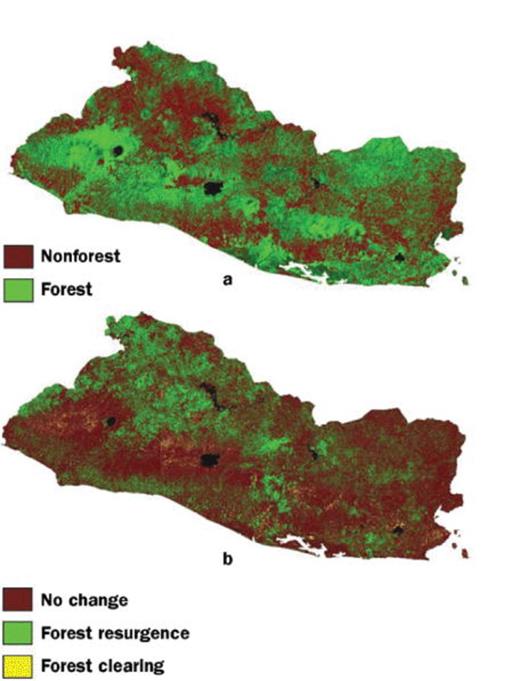 Decadal changes in forest cover in El Salvador, derived from Landsat Thematic Mapper imagery: (a) distribution of forest cover circa 1990 and (b) changes in forest cover between the 1990s and the 2000s.