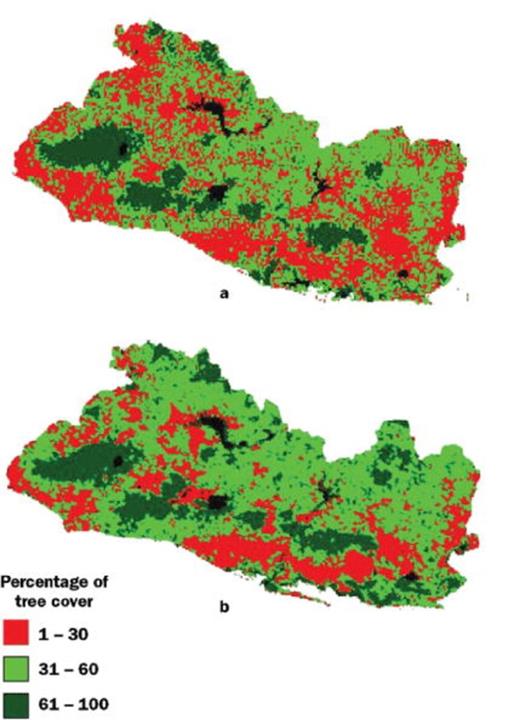 Percentage tree cover in El Salvador, derived from (a) AVHRR (Advanced Very High Resolution Radiometer) at 1-kilometer spatial resolution in 1992 and (b) MODIS (Moderate Resolution Imaging Spectroradiometer) at 500-meter resolution in 2001.