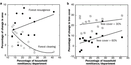 Significant correlations between foreign remittances and changes in forest cover in El Salvador: (a) percentage of area of forest resurgence and clearing obtained from the Landsat change detection analysis (forest clearing, R2 = 0.54, P = 0.001; forest resurgence, R2 = 0.31, P = 0.02) and (b) percentage area of forest with more than 30% tree cover, derived from tree-cover change detection analysis (R2 = 0.39, P = 0.02).