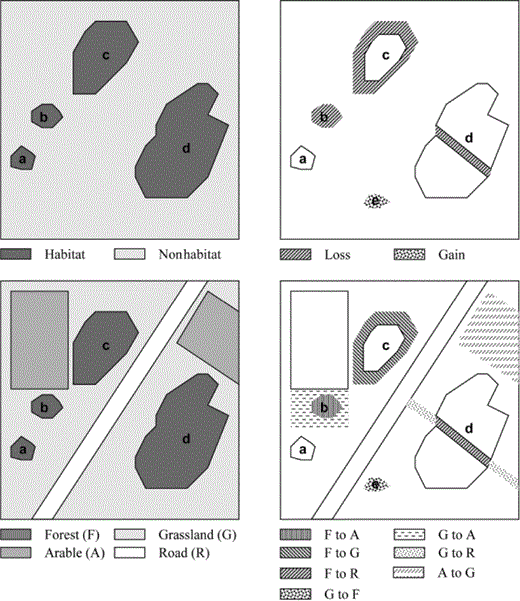 Two commonly used landscape representations and their implications for assessing structural landscape connectivity and landscape change. The patch-matrix representation (top left) considers only patches of suitable habitat (a–d) as islands in an ocean of non -habitat (matrix). The movement of organisms is expected to depend on the physical distance between patches. Landscape change is limited to habitat gain or loss through expansion or shrinkage (c), appearance (e) or attrition (b), and subdivision (d) of individual patches (top right). In the mosaic representation (bottom left), each patch belongs to one of several habitat types. Although patches a and d are at about the same distance from patch c, the road between patches c and d may act as a barrier to many organisms; the movement of organisms is expected to depend on matrix resistance or on the nature of the intervening habitat types. Landscape change in the mosaic representation consists not only of gains and losses of individual habitat types but also of different types of transitions from one type to another (bottom right).