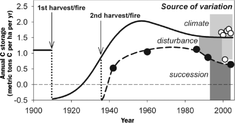 Historical reconstruction of annual forest carbon (C) storage at the University of Michigan Biological Station, 1900–2004. Annual forest C storage is simultaneously constrained by forest succession or stand age, past disturbance, and climate. The quantity of variation in annual C storage attributed to these variables is illustrated by vertical gray shading. Forest stands were harvested and burned at different frequencies and times in the early 20th century, changing their successional status. Disturbance frequency also had a direct effect on annual forest C storage, with more frequently disturbed forests having lower annual C storage rates. Climate is the major determinant of current shorter-term, interannual variation in annual C storage. Closed circles are ecological estimates of annual C storage for a disturbance chronosequence that was experimentally harvested and burned, and open circles are meteorological estimates of annual C storage for a nearby control forest (Gough et al. 2007b). Predisturbance annual C storage is from Desai and colleagues (2005) for an old-growth forest in Wisconsin.