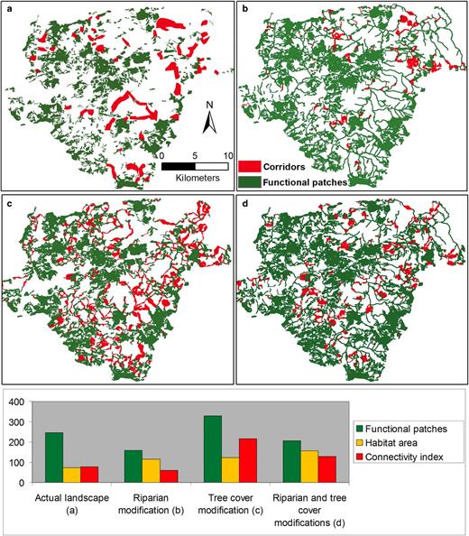 The impact of four land-cover change scenarios on landscape fragmentation and functional connectivity: (a) the actual landscape; (b) the inclusion of 50-meter riparian forests; (c) tree cover modifications with low tree density silvopastoral systems on inclines of less than 15%, high-density silvopastoral systems on inclines between 16%–29%, and forest regeneration on inclines steeper than 30%; (d) combination of riparian corridors and tree cover modifications (Sanfiorenzo et al. 2011). The results show that these changes will reduce the number of patches (the green bar in the bar graph), increase the amount of habitat available (the yellow bar, in square kilometers), and increase the connectivity of habitat (the red bar) for forest-dependent species, such as trogons.