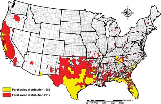 In recent years, the distribution of feral swine has expanded dramatically in the United States. This map shows the reported feral swine expansion from 1982 (based on data provided by the Southeastern Cooperative Wildlife Disease Study) and from 2012 (based on data collected by the US Department of Agriculture, Animal and Plant Health Inspection Service, National Wildlife Disease Program).