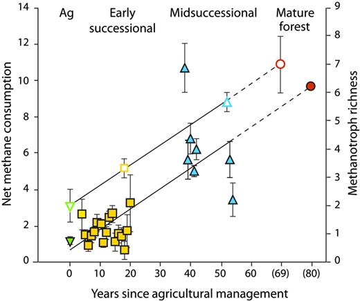 The increase in soil methanotroph diversity (in operational taxonomic units; the open symbols) and atmospheric methane consumption (in grams of methane-carbon per hectare per day; the closed symbols) in ecological succession from row-crop fields (Ag, green) through early (yellow) and midsuccessional (blue) fields to mature forest (orange) at the Kellogg Biological Station. Source: The data are from Levine and colleagues (2011).