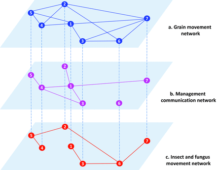 A hypothetical scenario for a multilayer network in the stored-grain system. (a) Stored-grain movement network. The nodes represent stored-grain facilities, and the links represent grain movement among them by rail. (b) A network of communication about management associated with the stored-grain system. All stored-grain facilities (nodes) in the network had access to information about management practices for pests and pathogens except node 6. (c) A pest and fungus movement network. The nodes represent stored-grain facilities, and the links represent the movement of pests and pathogens through the network.