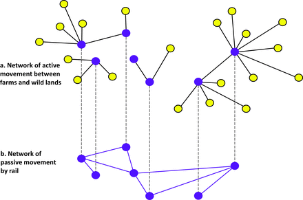 A hypothetical scenario representing an interconnected stored-grain network. (a) A network of active pest movement. The dark nodes are stored-grain structures. The light nodes represent alternative habitat that is suitable for pest survival and development; pests may fly between these and stored-grain structures. (b) A network of passive pest movement. The nodes represent stored-grain facilities, and the links represent rail transportation, supporting passive movement of pests among nodes.