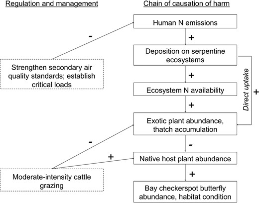 The chain of causation of nitrogen (N) emissions on the federally threatened Bay checkerspot butterfly (BCB), including the existing management strategies and necessary regulatory changes to mitigate the impacts of N on the BCB. Plus and minus signs denote the direction of the response of each component of the system to changes in the previous component.