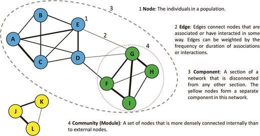 The basic components of social network structure.