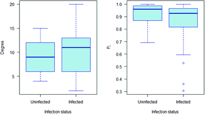 The degree (number of connections) and participation coefficient (Pi; proportion of connection within their own network community) for European badgers in relation to bovine tuberculosis infection status as defined by Weber and colleagues (2013). The solid line represents the median, the box the interquartile range and the whiskers extend 1.5 times above and below the upper and lower quartiles respectively.