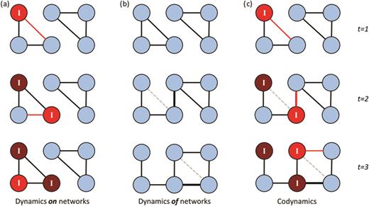 The complex dynamics of disease and social behavior displayed as (a) disease dynamic on a network, (b) social network dynamics, and (c) disease dynamics on a changing social network in a toy network over three time steps. In (a) and (c), the red nodes are infected and marked “I”, and the red/mid-gray edges represent transmission in that time step. The lighter red nodes have just become infected in that time-step. In (b) and (c), one edge is changed in between each time step, with the edge that is lost marked as a dashed light gray line in that time step.