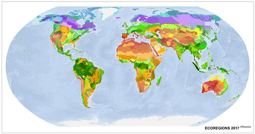 The 846 global ecoregions that comprise Ecoregions2017©Resolve nested within 14 terrestrial biomes. An interactive map is available at ecoregions2017.appspot.com. (A companion biome map is presented in supplemental appendix S1, supplemental figure S1).