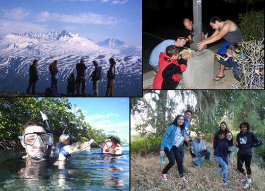 Field-biology education in a variety of natural and cultural contexts (clockwise from upper left): (a) immersed in Alaskan wilderness; (b) collecting nonnative geckos in a California strip mall; (c) setting a small mammal trapline  at a university reserve; (d) exploring the aquatic world of a Belizean estuary. Photographs: (a) Thomas L. Fleischner,  (b) Robert E. Espinoza, (c) Corey Welch, (d) Gretchen A. Gerrish.
