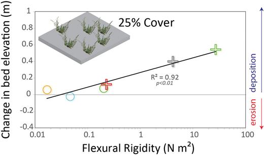 The change in bed elevation in response to a single flood event, determined from the linear model, as a function of the flexural rigidity of each guild. The ecological guild symbols match those in figure 2. A strong positive relationship exists between flexural rigidity and the topographic response for moderate vegetation coverage (25%).