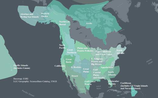 The geography of transboundary planning cooperatives established by the United States in 2010 to aid in wildlife adaptation to changing climate.