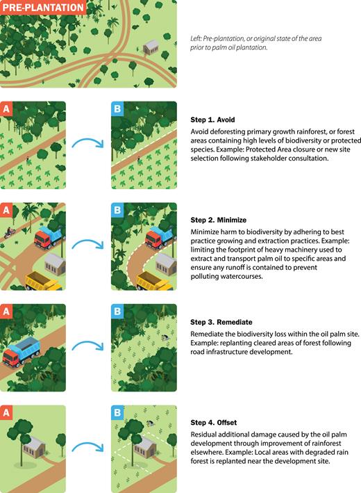 An example of the mitigation hierarchy applied to the oil palm industry in order to achieve no net loss of biodiversity for the negative impact on biodiversity (deforesting rainforest) as a result of planting oil palm monocultures, in this case African oil palm (Elaeis guineensis). The images marked with an (a) represent the types of negative impacts from planting oil palm monocultures, and the corresponding images marked (b) represent ways to address these impacts by undertaking the four steps of the mitigation hierarchy. Steps 1 to 3 occur at the site of negative impact on biodiversity, whereas step 4 occurs away from the impact site, addressing residual adverse impacts.