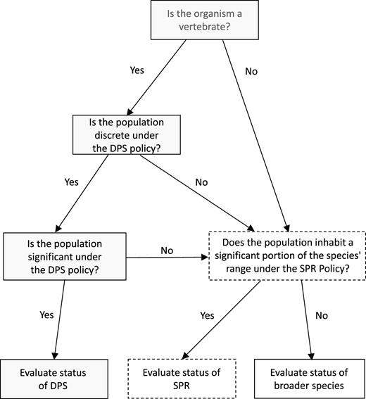 Flow diagram illustrating the proposed framework for designation of intraspecific conservation units under the US Endangered Species Act (ESA). Gray filled boxes represent decision steps currently taken when the Services evaluate whether a population constitutes a distinct population segment (DPS), a designation that the ESA limits to vertebrate species. Dashed boxes represented decision steps taken under the proposed “significant portion of range” (SPR) policy. Definitions of significance under the DPS and proposed SPR policy would be substantially similar but may diverge in emphasis as was described in the text.