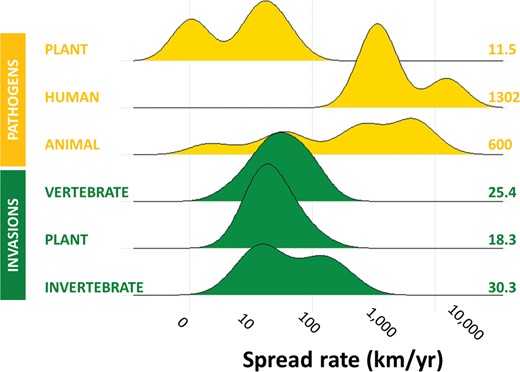 Density plot showing the frequency of observed radial spread rates (log scale) for different pathogens and invasive taxonomic groups. The height of each density curve indicates the relative number of data points, normalized to 1. The numbers at the right indicate the median rate of spread for the group. The figure was created with packages ggplot2 and ggridges in R v. 4.0.0. The raw data were extracted from Smal and Fairley (1984), van den Bosch and colleagues (1992), Holmes (1993), Teangana and colleagues (2000), McCallum and colleagues (2003), Phillips and colleagues (2007), Pioz and colleagues (2011), Fraser and colleagues (2015), Zinszer and colleagues (2015, 2017), Evans (2016), Roques and colleagues (2016), Horvitz and colleagues (2017), and Hadfield and colleagues (2019).