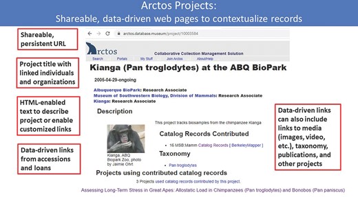 One example of a collections management system that can connect living and preserved specimen databases is the Arctos Collection Management system, a web-based multi-institutional collection management platform that currently handles thousands of records of specimens and biosamples from zoo–museum collaborations. Arctos museum records can be reciprocally linked to any external URL, creating the potential to form direct links with zoo databases such as ZIMS. Linking data between museum collection records and zoo databases will allow tracking of samples and their usage over the lifetime of individuals and beyond across multiple facilities and institutions. Data approved for public access can be searched through the main Arctos portal at https://arctos.database.museum and through biodiversity aggregators such as GBIF, enabling sample, project, and trait-based queries to extend the value of these samples and data for future research. Image: Mariel Campbell.