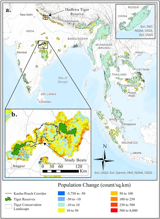 (a) The human population surrounding the world's tiger conservation landscapes (TCLs) increased by over 19.5 million people between the years 2000 and 2020. These population increases are especially acute for TCLs in northern and central India, Cambodia, and Sumatra. (b) Our initial deployment of the TrailGuard AI camera-based alert system focused on central India in the partially protected forest corridor between Kanha Tiger Reserve in the northeast and Pench Tiger Reserve to the southwest. An additional deployment occurred in northern India within Dudhwa Tiger Reserve. Source: The population data were generated using global population estimates from the WorldPop Hub (WorldPop 2018). The data were clipped to include the area within a 5-kilometer buffer around all TCLs to capture population growth in close proximity to potential tiger habitat. The inset map of the Russian Far East TCL is not at the same scale as the overall map.