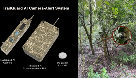 The TrailGuard AI camera system (left, US quarter for scale) can be well camouflaged near a trail such as this one in Dudhwa Tiger Reserve, as seen from the trail, that sent multiple real-time notifications of poachers without being detected (right).