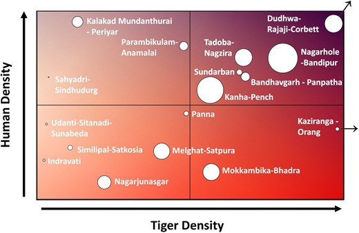 Conceptual matrix of where real-time camera deployments directed toward abating human–tiger conflict or for stopping poaching may be most appropriate. Strategies for only preventing poaching would be appropriate with increasing tiger density but low human density (the lower quadrants), whereas with increasing human density (the upper-right quadrant), camera deployments may shift to preventing more human–tiger conflict and poaching. With most of the tiger populations of India applied to the matrix, it is notable that some of the largest and densest tiger populations are also in areas with relatively high human density, indicating camera deployment to prevent conflict and poaching would be most appropriate. The circle size is scaled by land area, and the Dudhwa–Rajaji–Corbett and Kaziranga–Orang populations are outliers that could extend further beyond the figure boundaries relative to the other tiger populations.