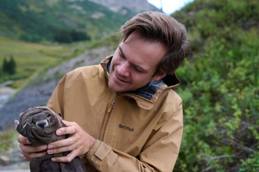 UCLA graduate student Conner Philson holding a baby marmot trapped and safely released as part of a 61-year-long study at the Rocky Mountain Biological Laboratory, in Colorado. Photograph: Dave Basden.